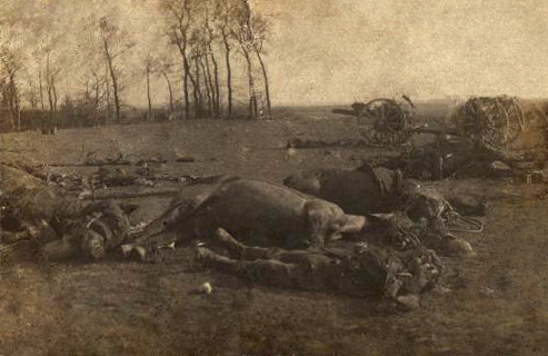 British Casualties at Le Cateaua