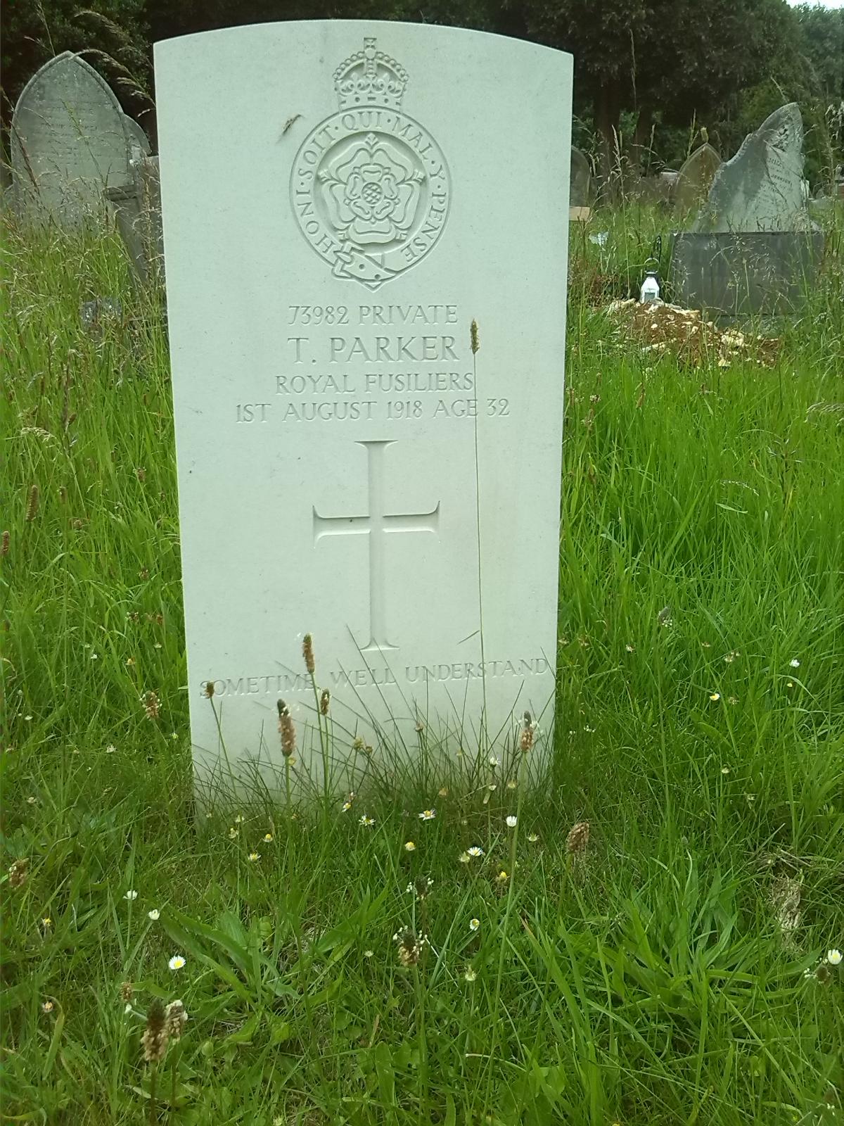 Ted Parker's Headstone