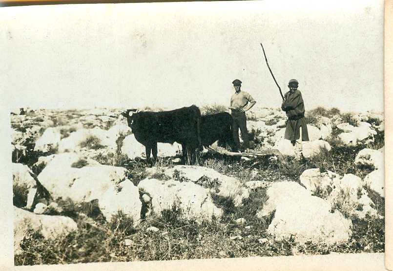 Arab plough man with hat from Bedford