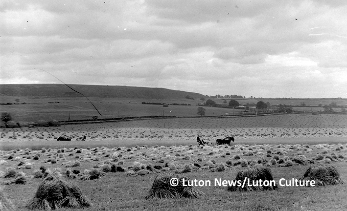 Great Braminghanm ploughing 1934