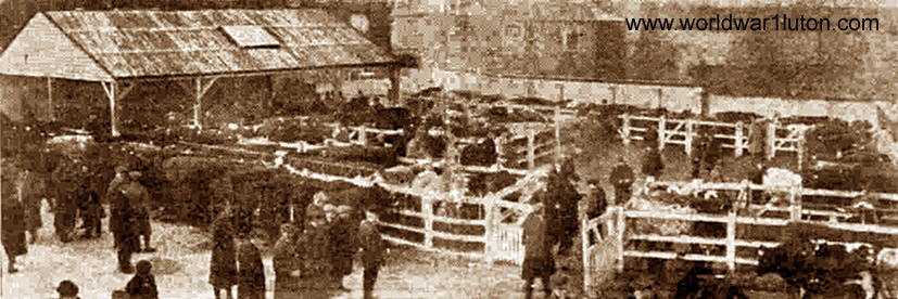 Cumberland's livestock sale