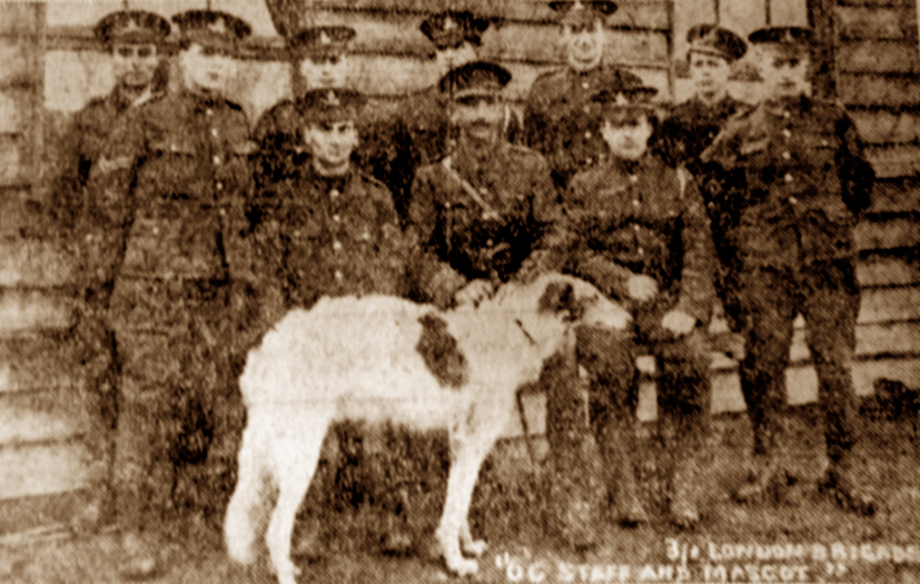 3/1 London RFA mascot