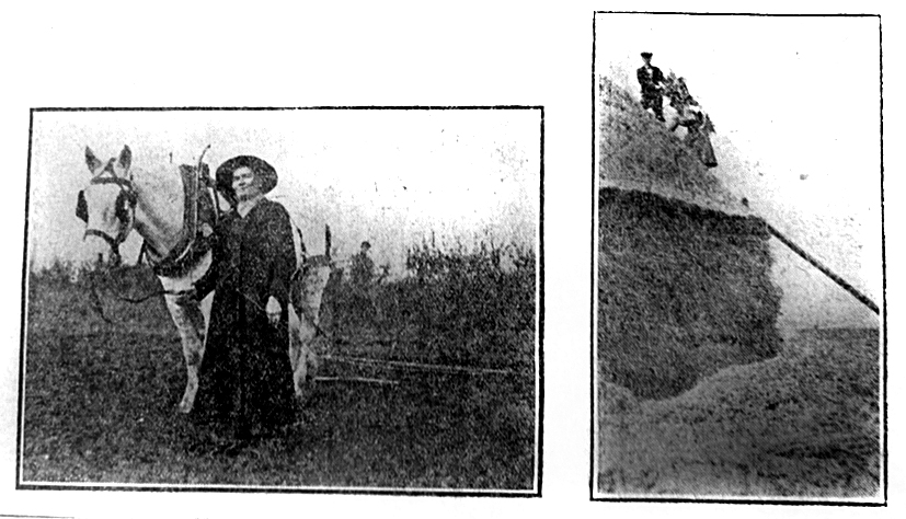 Women working on the land